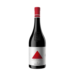 BAGLIO DI PIANETTO ETNA ROSSO