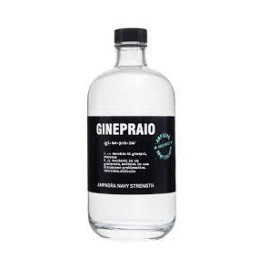Gin Ginepraio Amphora Navy